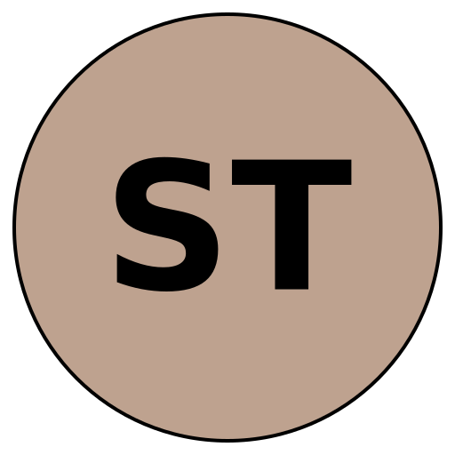 SavvyTravels